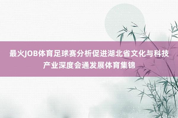 最火JOB体育足球赛分析促进湖北省文化与科技产业深度会通发展体育集锦