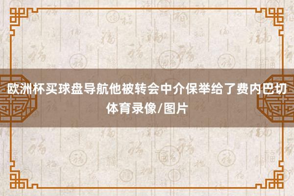 欧洲杯买球盘导航他被转会中介保举给了费内巴切体育录像/图片