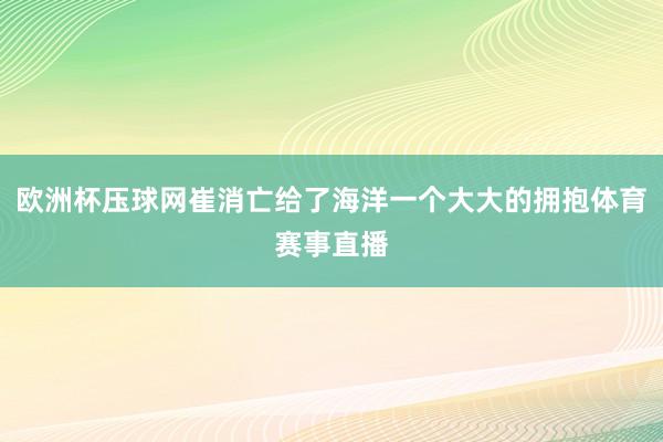 欧洲杯压球网崔消亡给了海洋一个大大的拥抱体育赛事直播