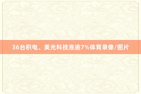 36台积电、美光科技涨逾7%体育录像/图片