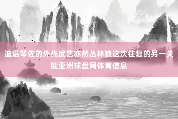 迪温琴佐的外线武艺亦然丛林狼这次往复的另一关键亚洲球盘网体育信息