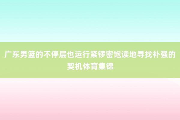 广东男篮的不停层也运行紧锣密饱读地寻找补强的契机体育集锦